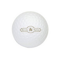 Golf Ball Stress Reliever